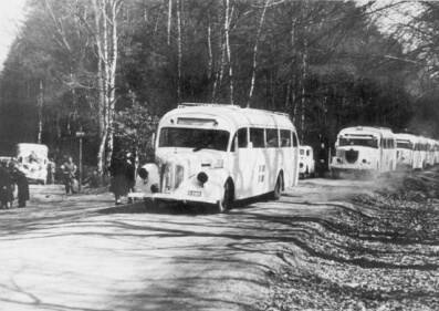 Białe Autobusy Czerwonego Krzyża w 1945 roku. Zdjęcie za: Wikipedia/domena publiczna/Szwedzki Czerwony Krzyż.